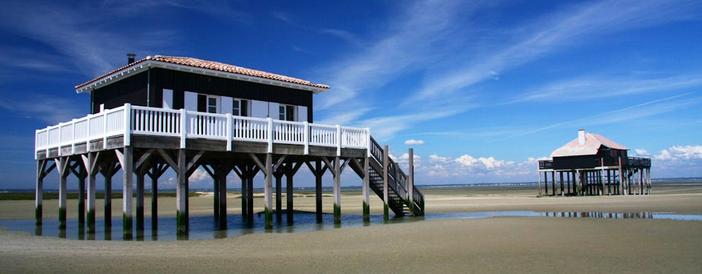 Baai van Arcachon en privédagtrip Dune du Pilat vanuit Bordeaux