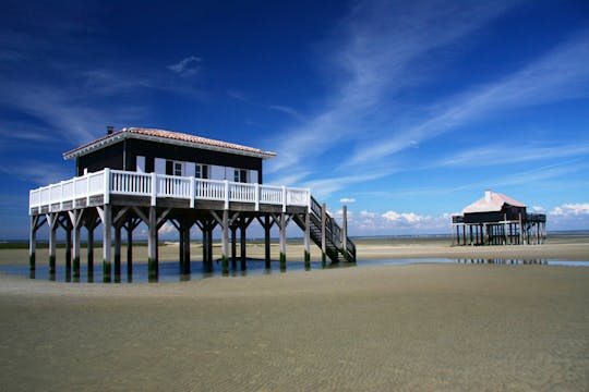Baai van Arcachon en privédagtrip Dune du Pilat vanuit Bordeaux