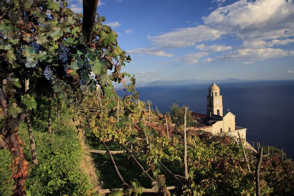Visita a la bodega con degustación de vinos y almuerzo en Marisa Cuomo en la costa de Amalfi