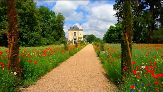 Privérondleiding en wijnproeverij in de Loire-vallei met Vouvray, Bourgueil en Chinon
