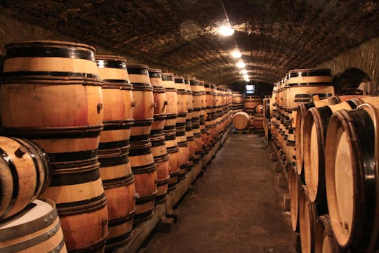 Tour privado en Borgoña con el castillo de Clos de Vougeot y dos bodegas locales