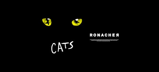 Tickets für das Musical Cats in Wien