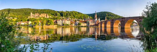 Heidelberg private walking tour