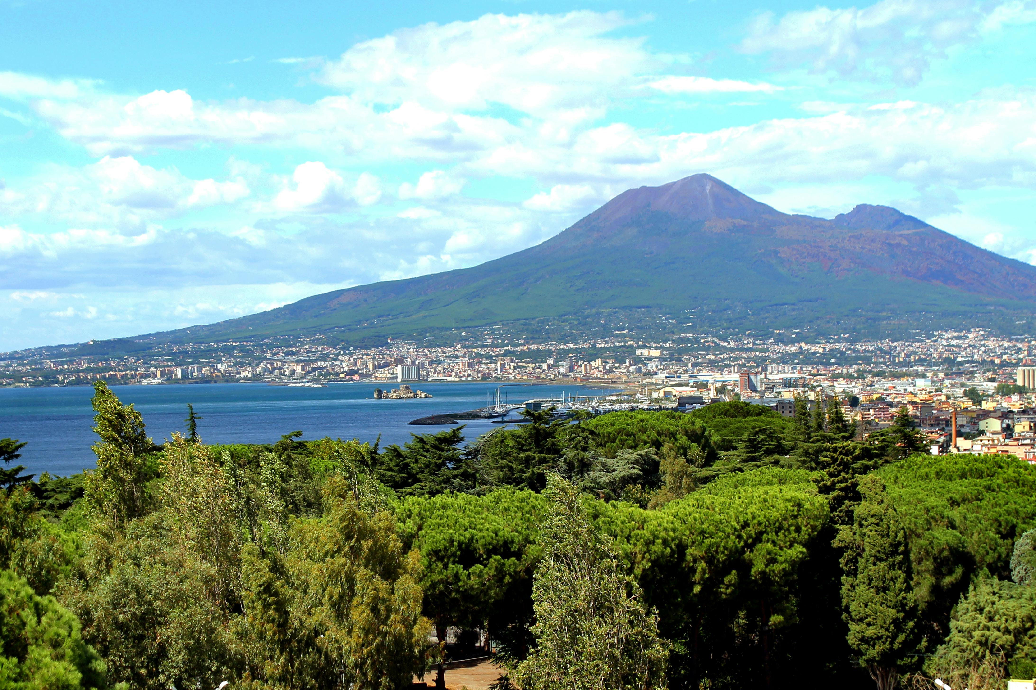 Visite  de Pompéi et du Vésuve au départ de  Naples