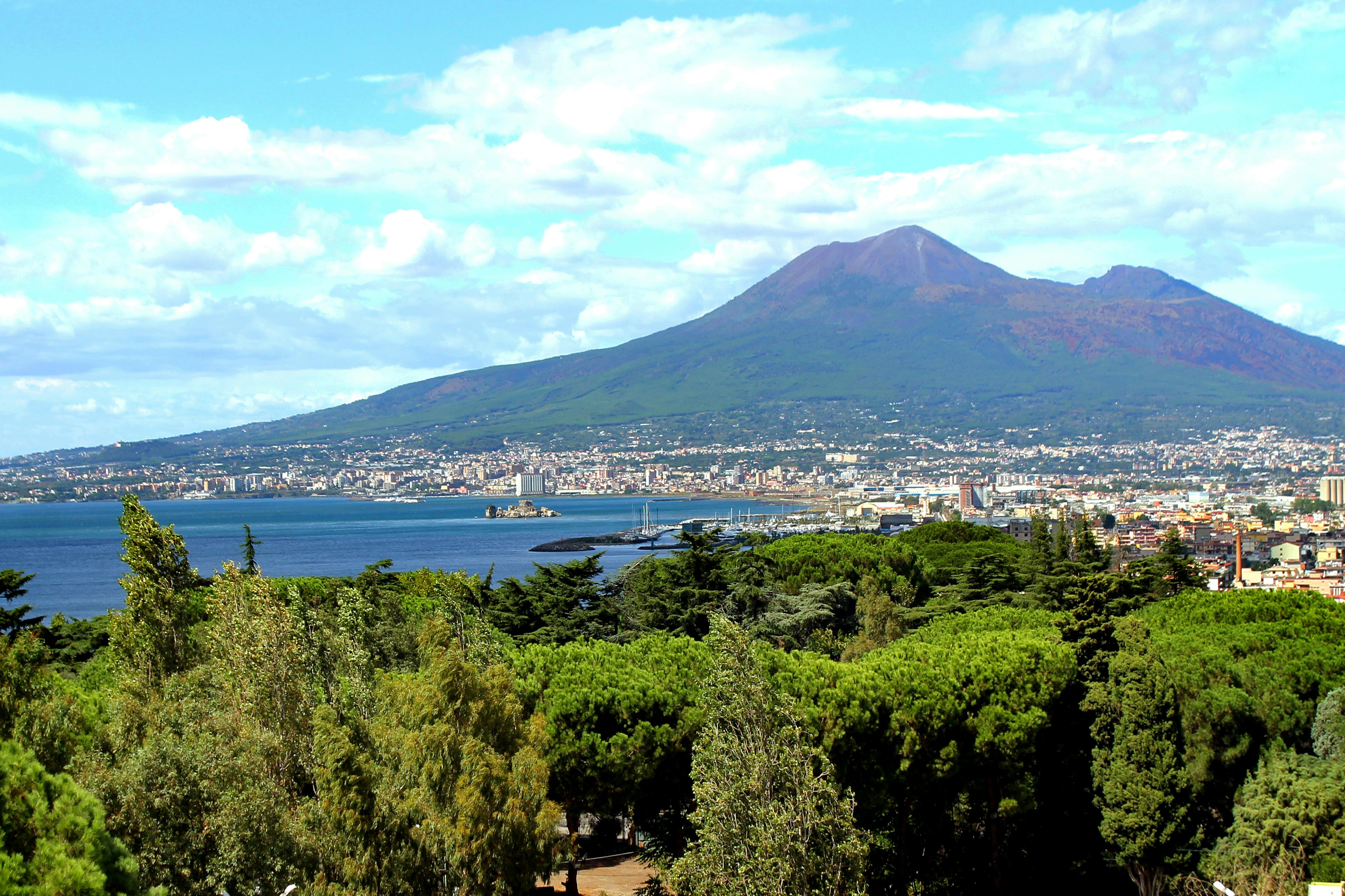 Tour di Pompei e del Vesuvio da Napoli