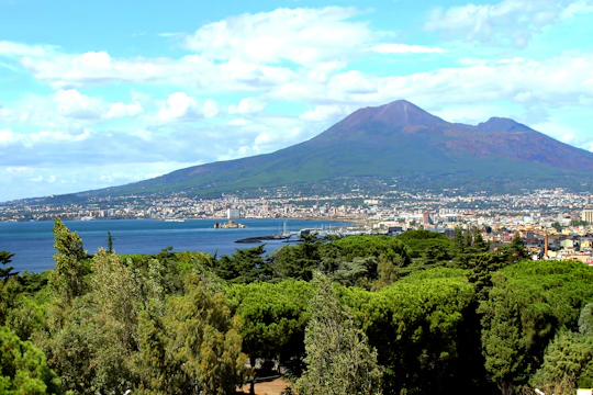 Tour of Pompeii and Mount Vesuvius from Naples