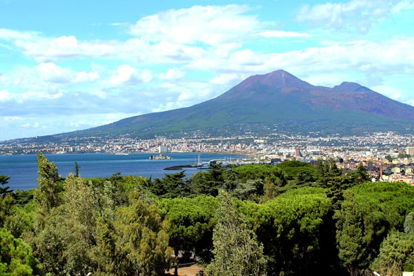 Visite  de Pompéi et du Vésuve au départ de  Naples