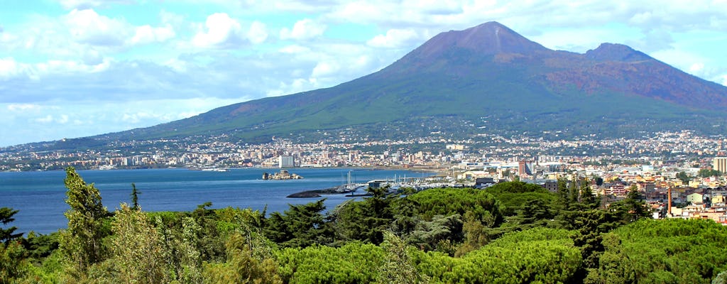 Visite  de Pompéi et du Vésuve au départ de  Naples