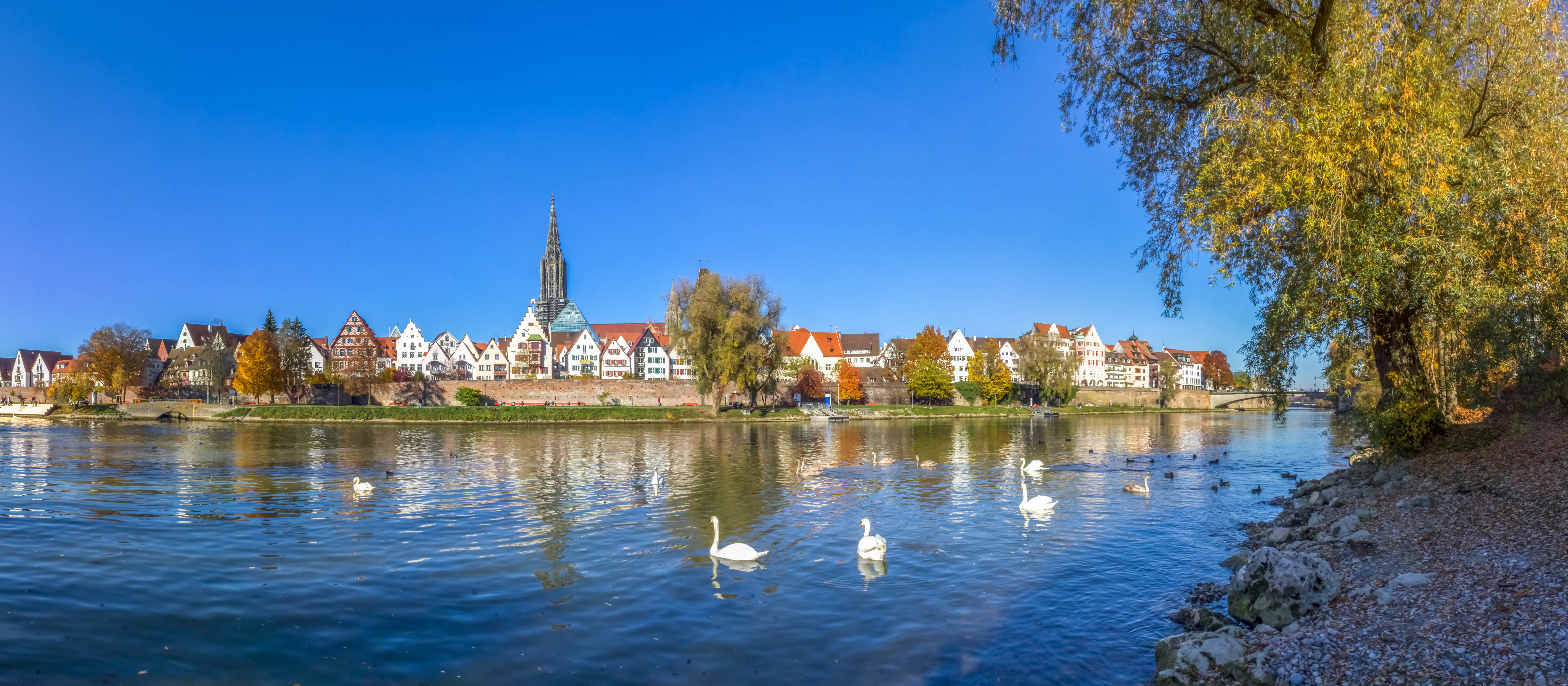 Ulm