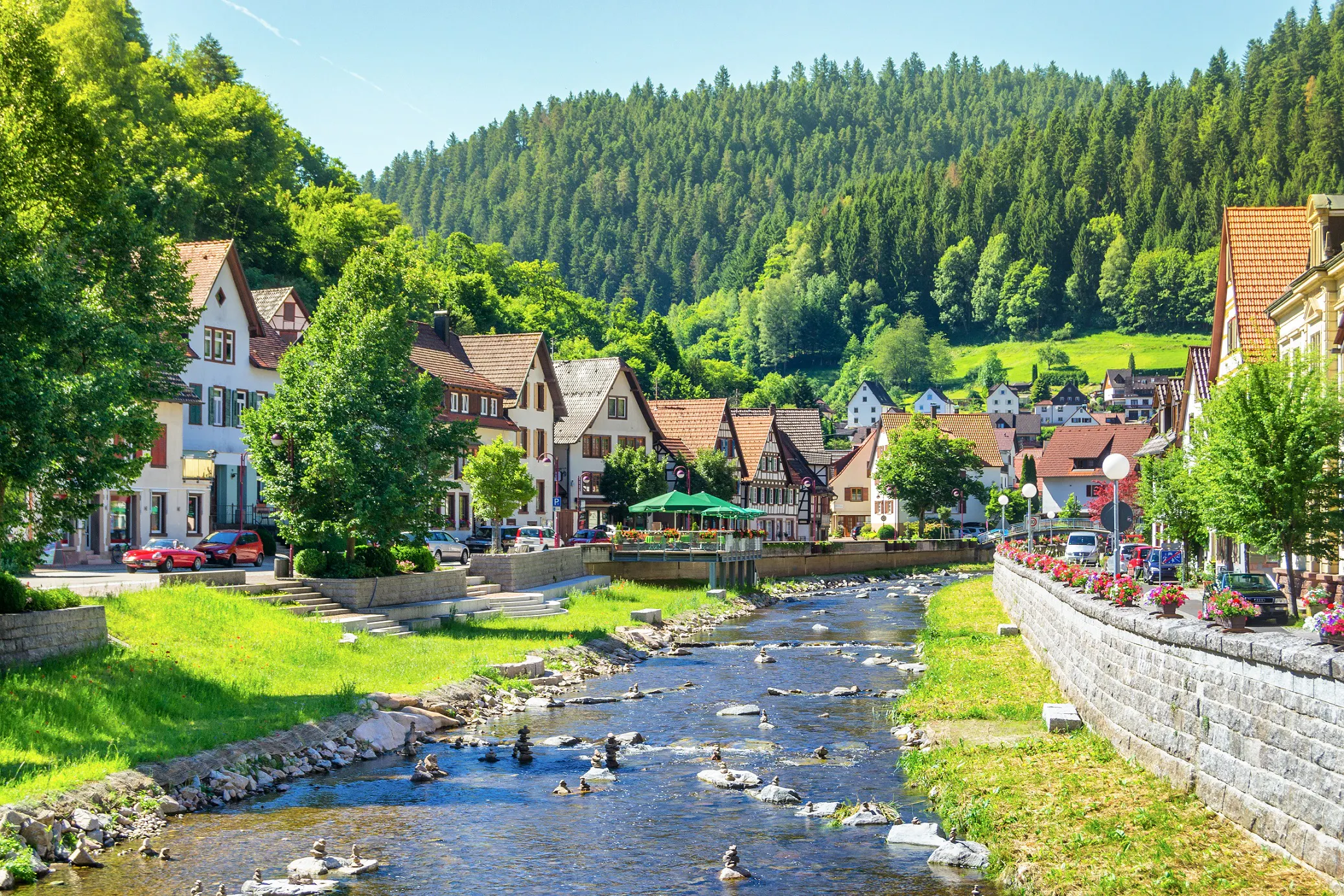 Black Forest