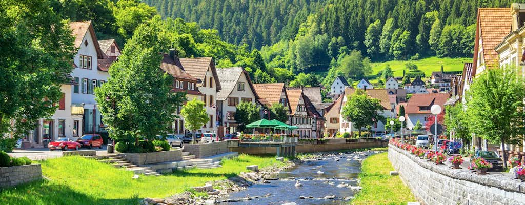Experiences in Black Forest