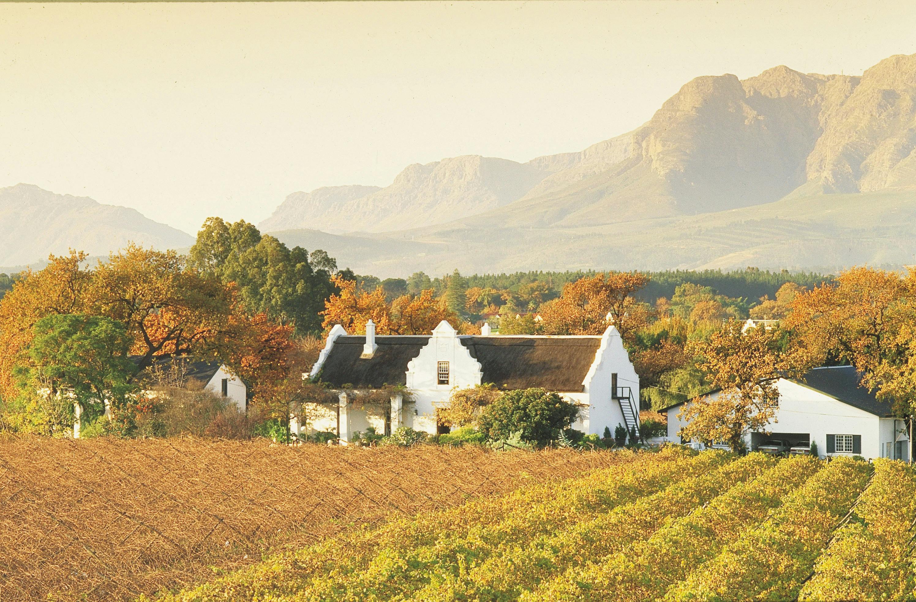 Excursion d'une demi-journée à Cape Winelands au départ du Cap