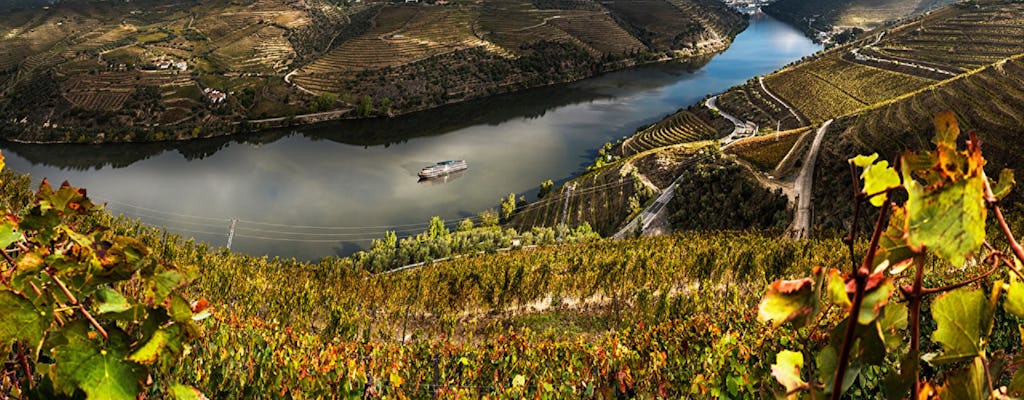 Douro vineyard tour