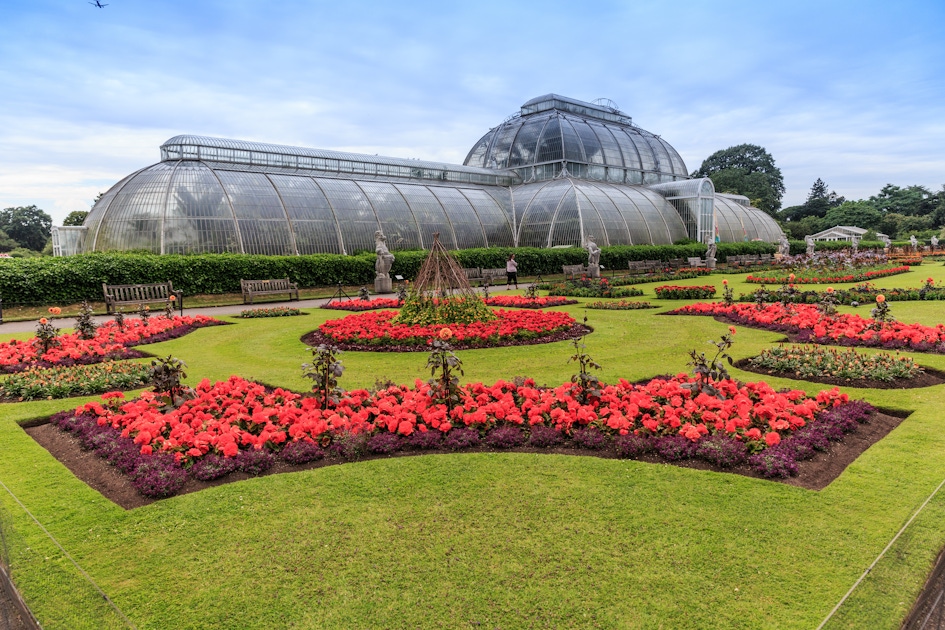 Kew Gardens Tickets and Tours in London