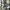 Schindler's Factory