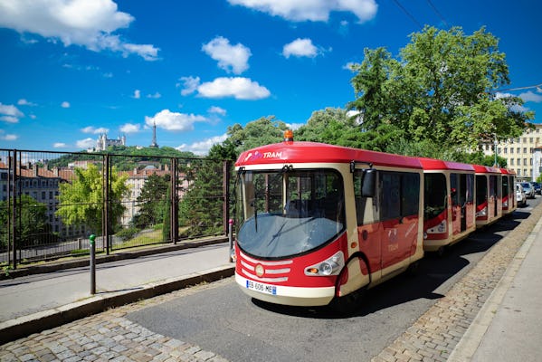 Tour del tram della città di Lione