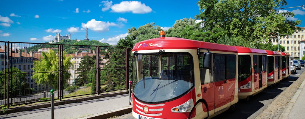 Tour del tram della città di Lione