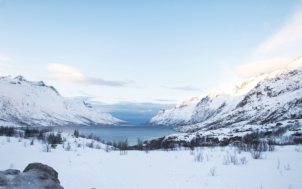 arctic fjords road trip