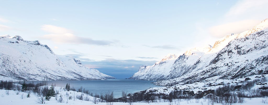 Viaje por carretera a los fiordos árticos desde Tromsø