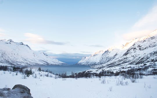Viaggio su strada dei fiordi artici da Tromsø