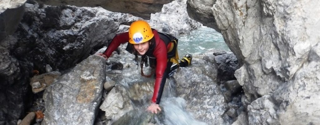 STARTERS - HACHLE SCHLUCHT