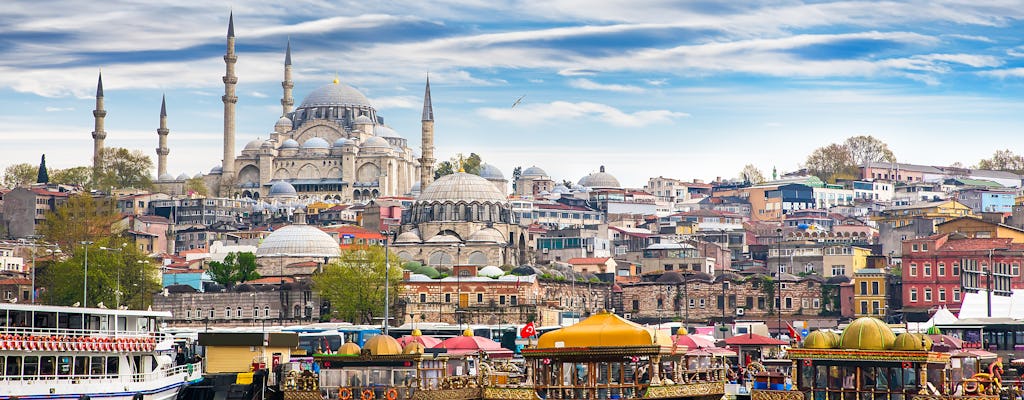 Bosphorus Cruise en Istanbul Egyptian Bazaar-tour