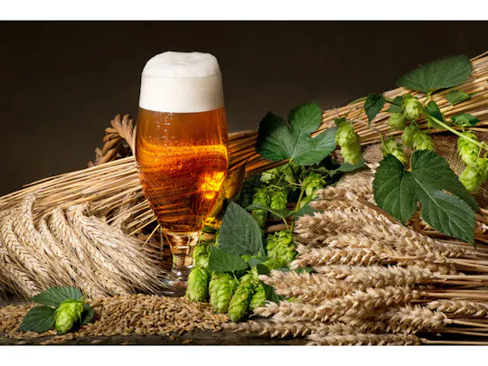Beer brewing course with hearty snack in Schwetzingen