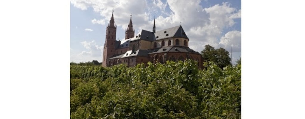 Riesling Immer Wein Tour