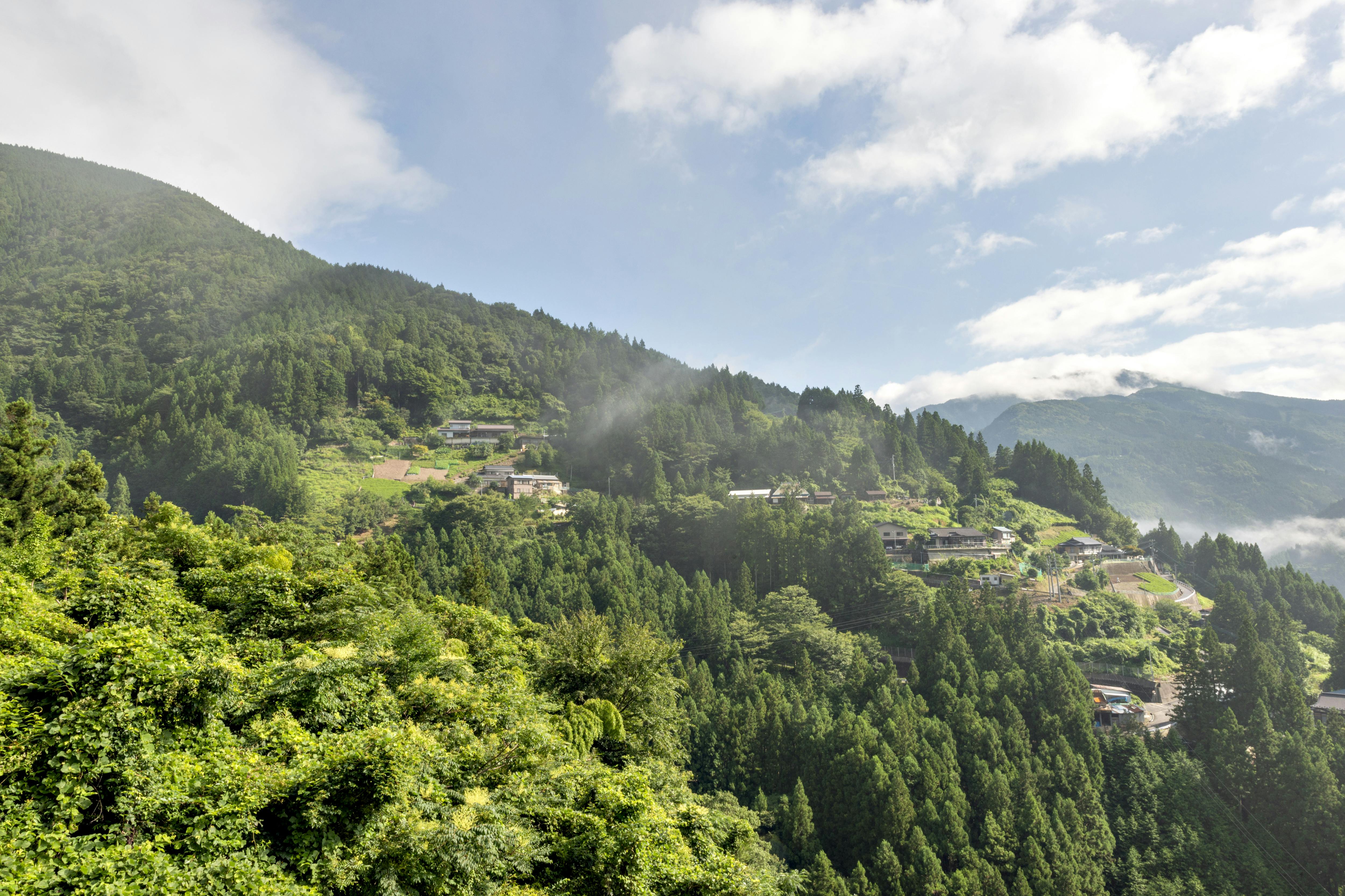 Tours and attraction in Tokushima