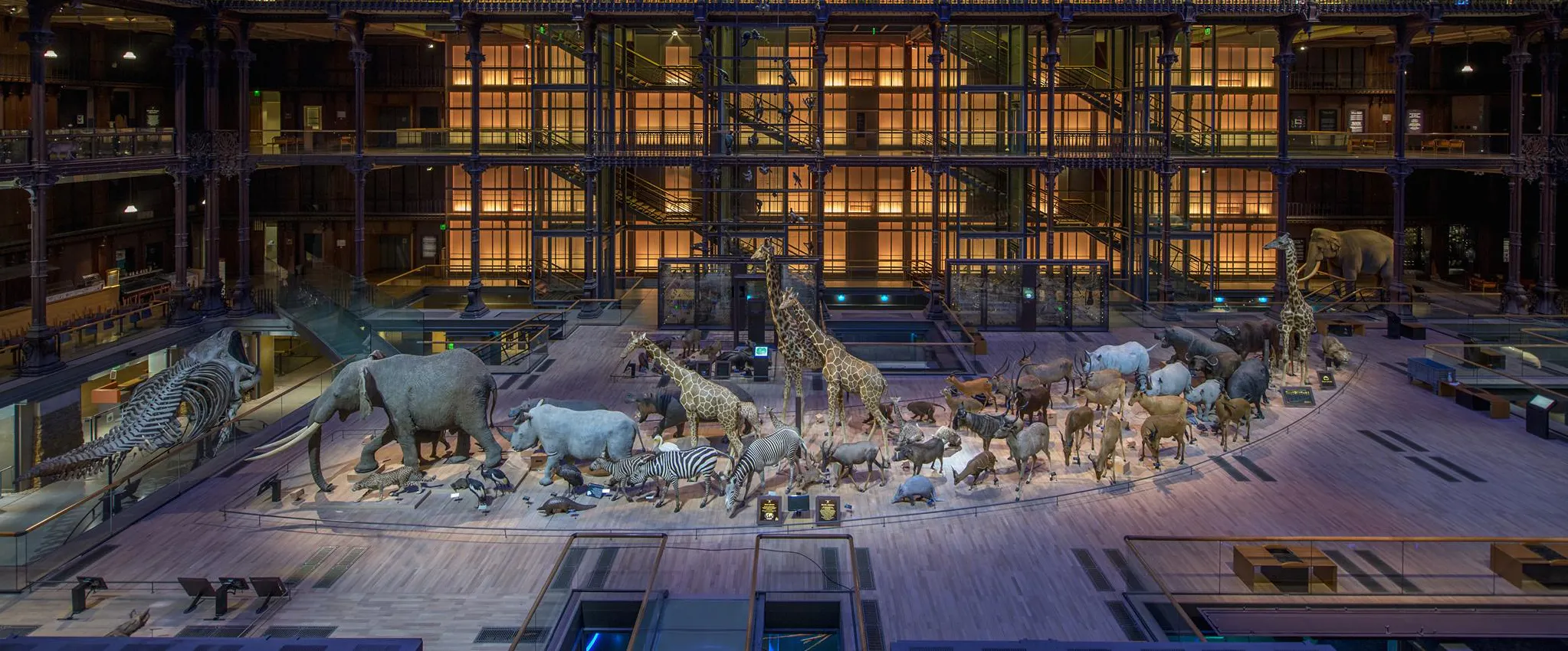 Musée National d'Histoire Naturelle