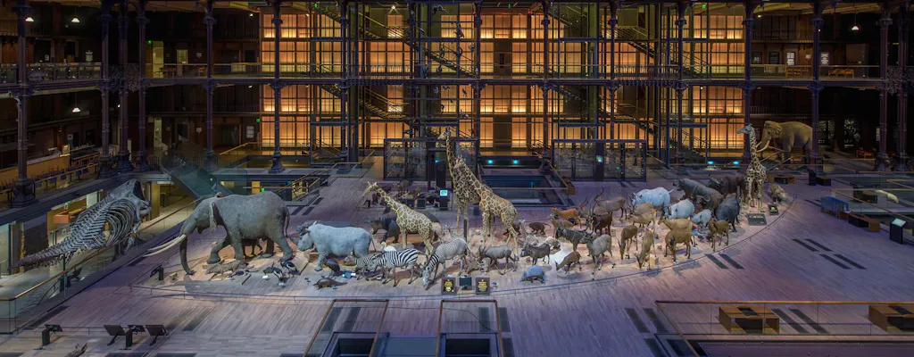 National Museum of Natural History