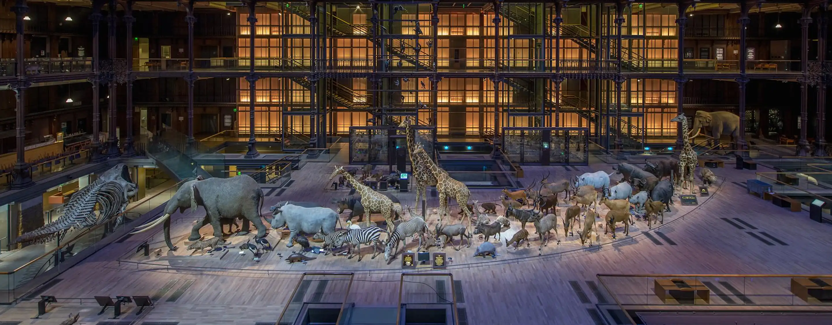 National Museum of Natural History