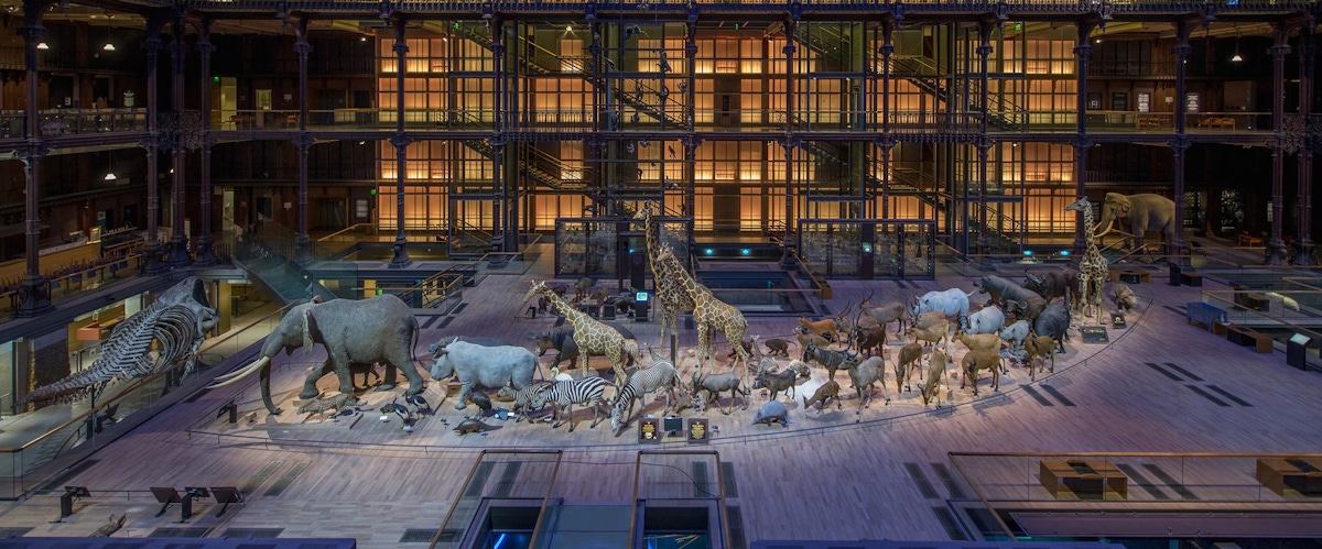 Museo Nazionale di Storia Naturale di Parigi musement Museo Nazionale di Storia Naturale di Parigi musement