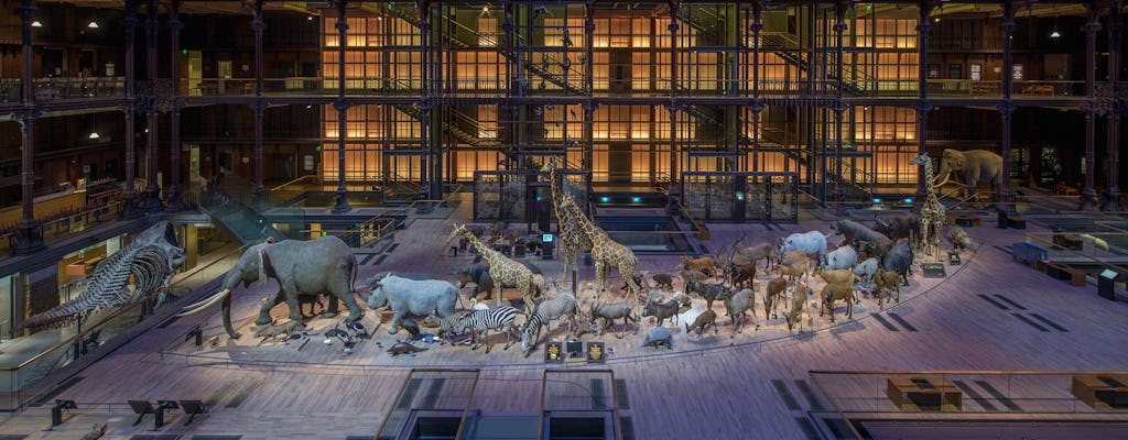 National Museum of Natural History