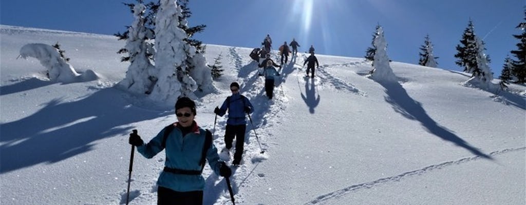 Glühpunschtour am Feldberg