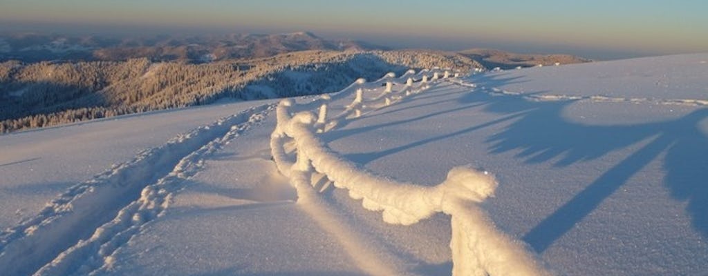 Tagestour | Hochschwarzwälder 4-Gipfel-Tour 