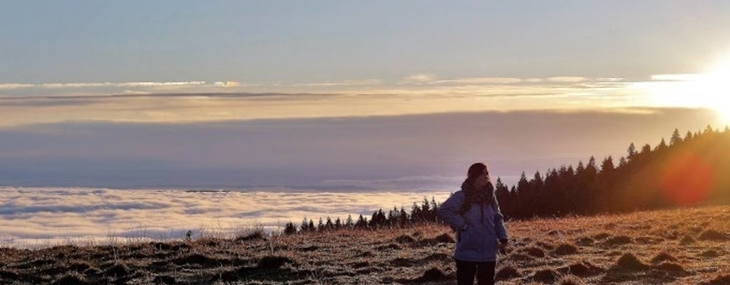 Wanderung: Zum Sonnenaufgang am Feldberg 
