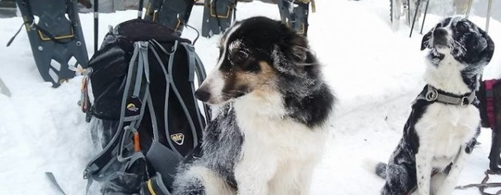 Schneeschuhtour mit Hund
