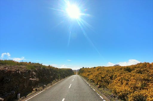 201906065cf9a0d365bf1.jpg