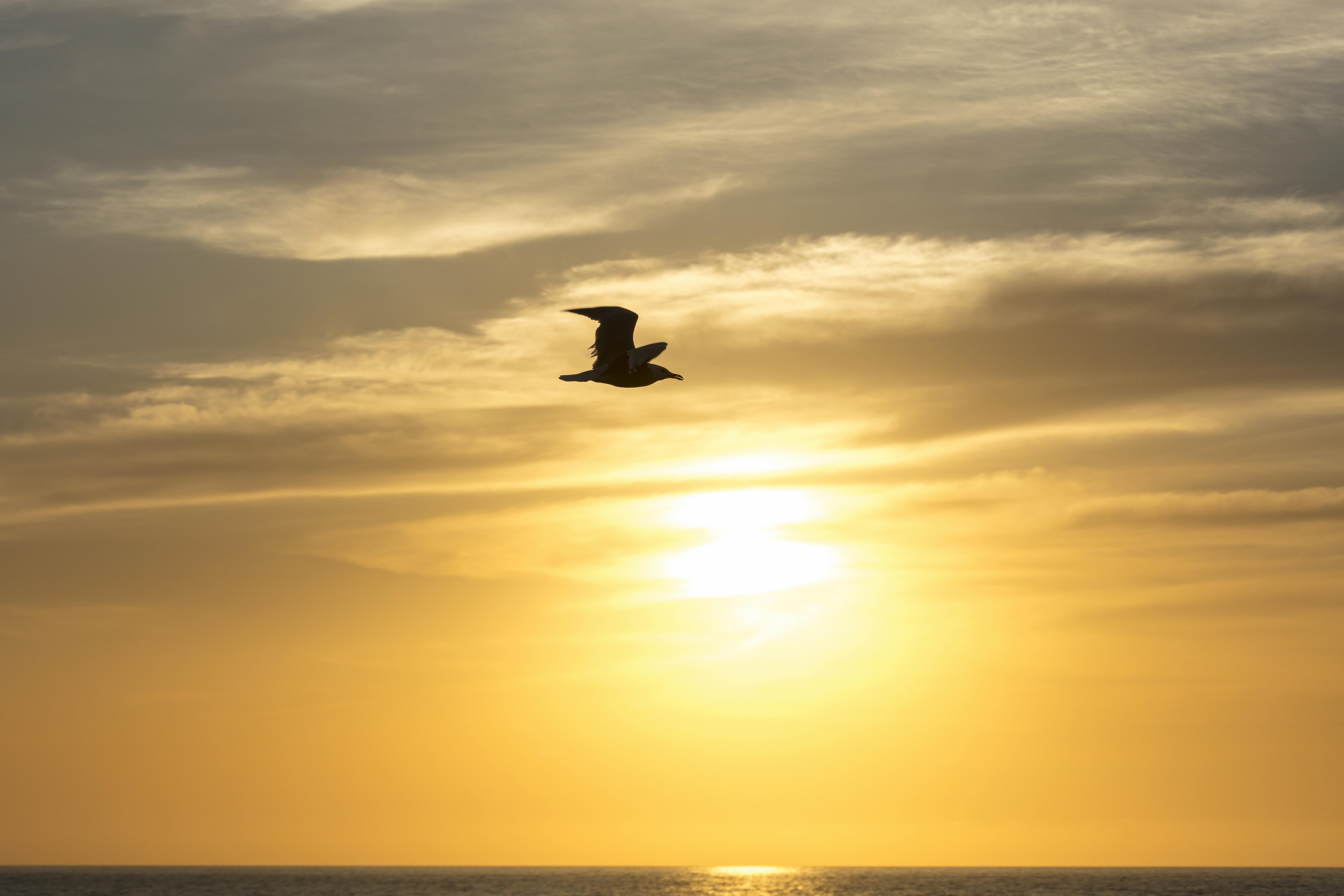 Coucher de Soleil en Musique