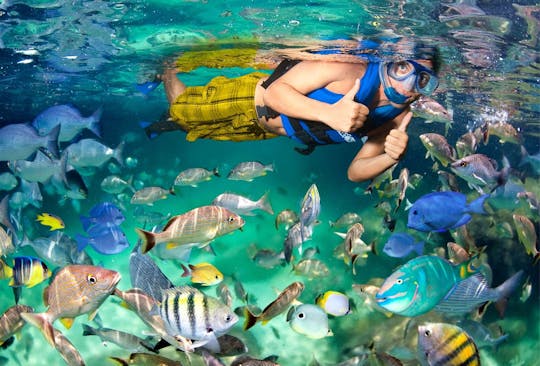 Excursion à Xel-Ha Riviera Maya