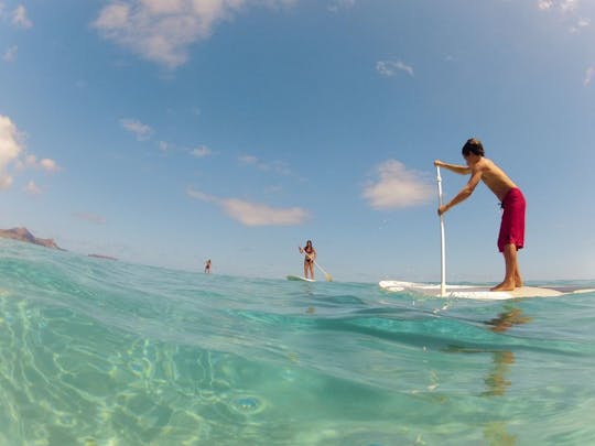 Paddle Surf in Porto Santo
