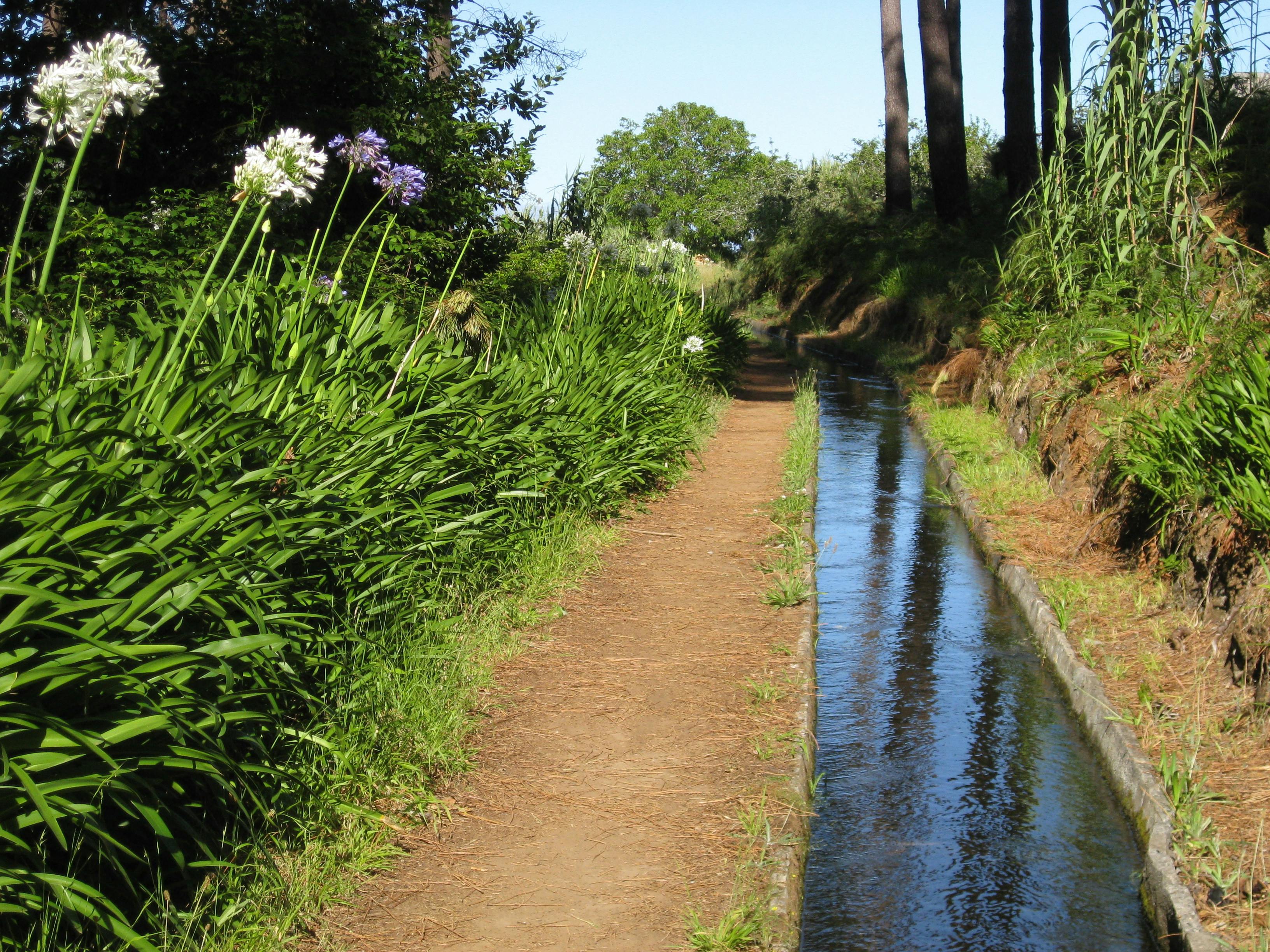 Wanderung – Prazeres nach Faja de Ovelha
