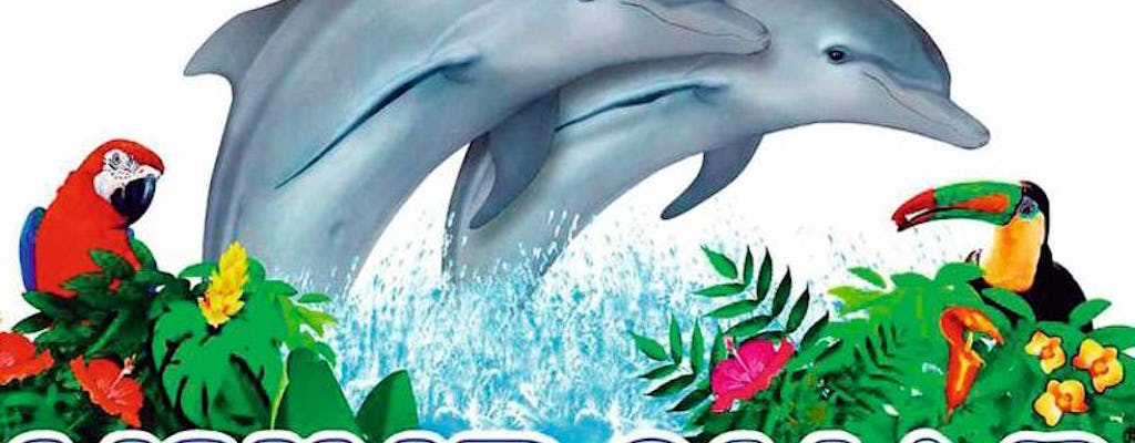 Mundomar Benidorm – Encounter with Dolphins