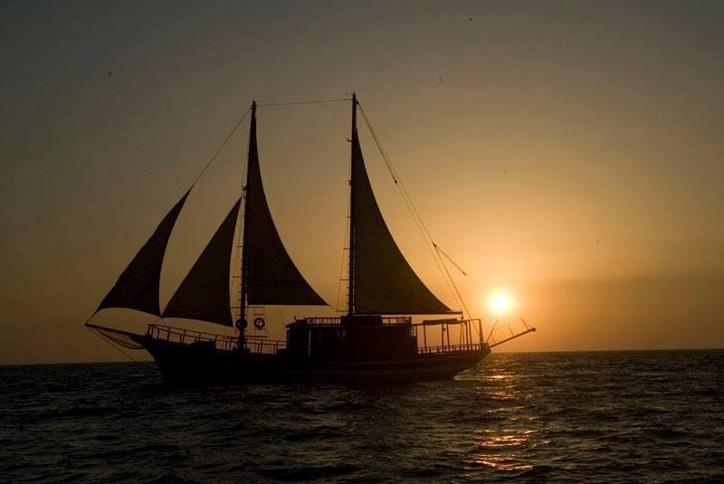 Afternoon Cruise San Antonio