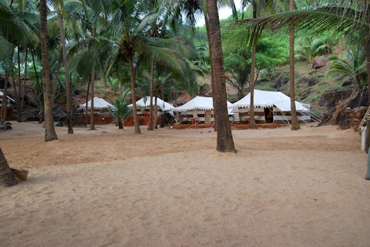 Passeio noturno em barraca de praia em Goa