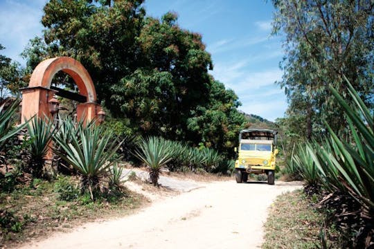 Verborgen Mexico met Botanische Tuin - Ticket