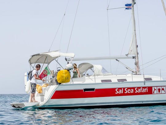 Nautische Droom