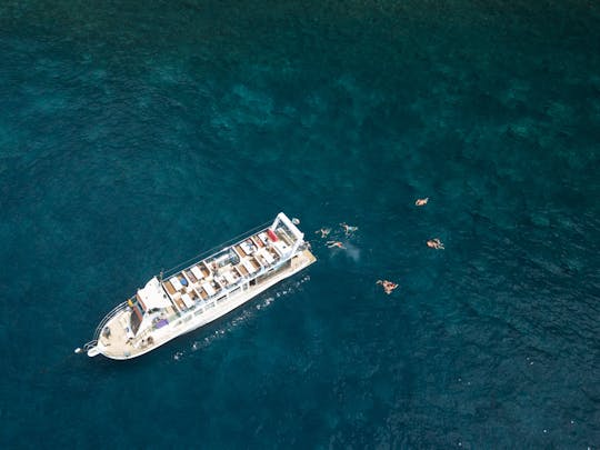 Living Sea Dolfijnen en Walvissen Spotten Boottocht