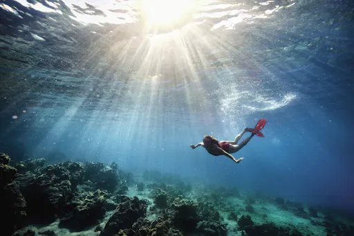 Snorkeling w atolu Mnemba